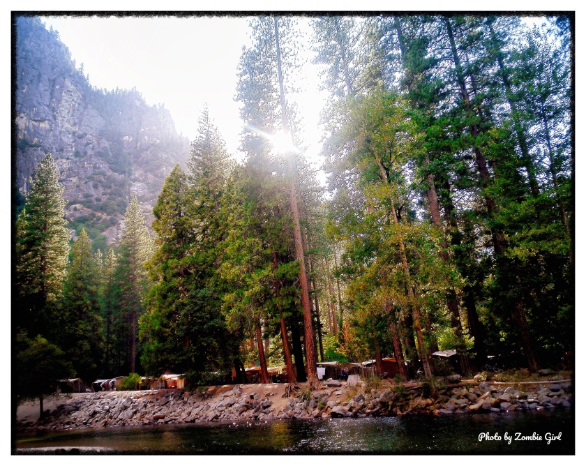Housekeeping Camp can be seen just through the trees on the bank of the Merced river. 