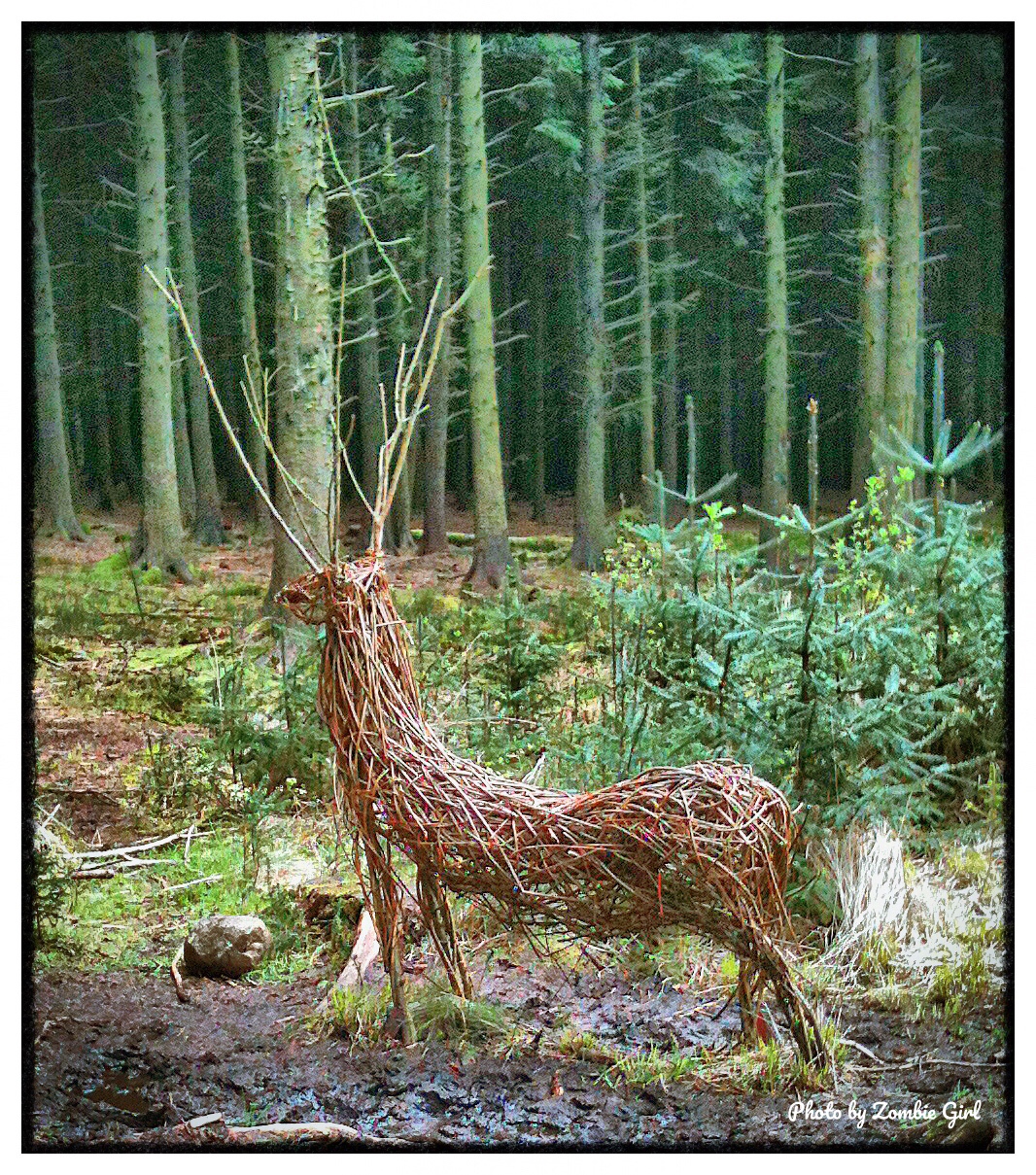 Living art work of a deer in the forest
